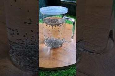 Chia seeds| How to prepare chia seeds for weight loss  |