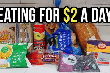 Eating for $2 a Day: Cheap and Healthy Meal Ideas You Need to Try