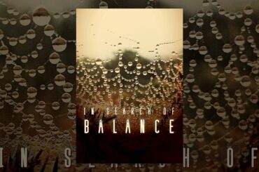 In Search Of Balance