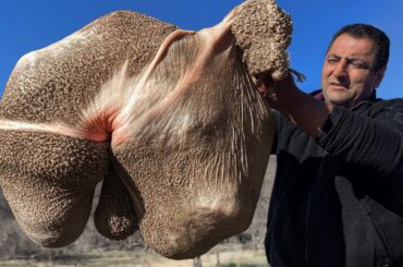 A Rustic Lunch Of Beef Stomach With Vegetables! It Is Very Tasty And Healthy At The Same Time