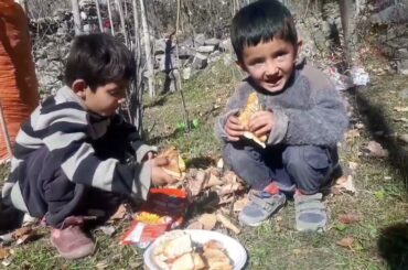 Chicken fillet sandwich | Chicken breast sandwich