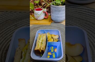 Packing school lunch/tiffin boxidea #eggsandwiches #tiffin #asmr #viralshort #shortsviral #lunchbox