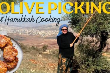 HANUKKAH COOKING & Picking Olives in Israel. Easy, Fast, Healthy Recipes & Cookbook!