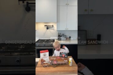 GINGERBREAD ICE CREAM SANDWICH | @elliotts.kitchen