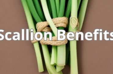 Discover the Incredible Benefits of Scallions for Your Health | Flavor and Nutrition in Every Bite!