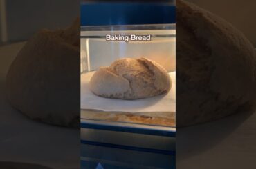 100% Whole Wheat, No Knead Artisanal Bread recipe without eggs! BAKING BREAD #shorts #viral