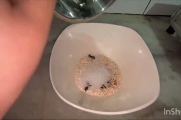 Oats new recipe || weight loss recipe || healthy recipe #viralvideo #viral #likeandsubscribe #like