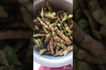 #Kandikayalu#pigeon pea snacks#Evening snack#Healthy snack  recipe #yt shorts #trending #viral