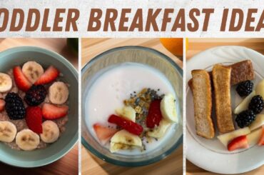 5 Quick & Easy Healthy Breakfast Recipes Your Toddler (18-24 Months)  / breakfast ideas for baby