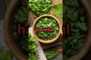 Do you use cilantro everyday? #health #wellness #shorts