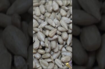 Caramel Croquant Crispy Energy Bar Recipe #shorts #energybarrecipe  #energybars #healthyrecipes