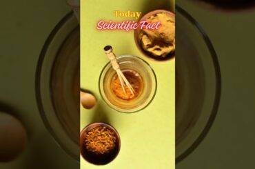 Why you should use turmeric in your food to control weight ! #loseweight #weightloss #shorts