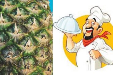 HEALTHY MEALS SOME GREAT IDEA'S