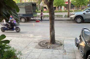 Workplace Wellness: Healthy Lunch Ideas for Professionals