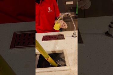 Fresh Sugar Cane Juice Dubai Mall #shorts #ytshorts #viral