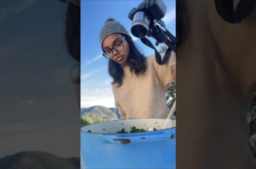 Watch @MYALCHE healthy recipes