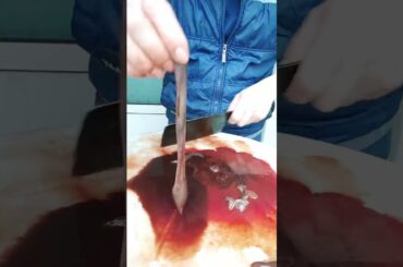 Amazing Creativity for Salad Fruit/vegetables 58 #shorts