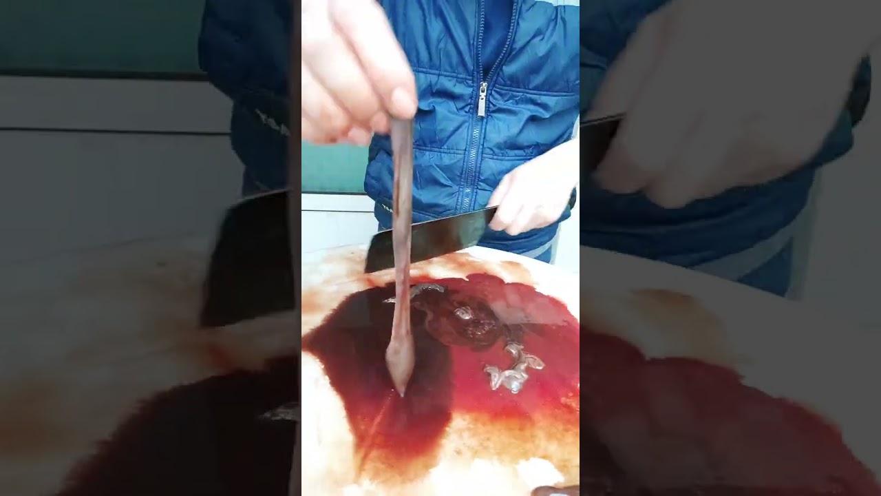 Amazing Creativity for Salad Fruit/vegetables 58 #shorts Amazing Creativity for Salad Fruit/vegetables 58 #shorts