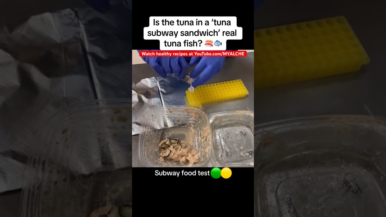 Thoughts? For healthy recipes, Subscribe to YouTube.com/MYALCHE Thoughts? For healthy recipes, Subscribe to YouTube.com/MYALCHE