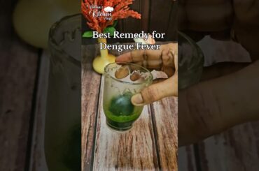Dengue Fever Remedy #ytshorts #dengueremedy #remedyfordengue #papayaleafextract #curefordengue #care