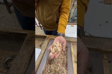 Lemon Grass Tea Shop | Best Weight Loss Recipe | #lemongrass #tea #weightloss #lemontea #short