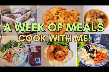 EASY WEEK NIGHT DINNER IDEAS / HEALTHY MEALS WE LOVE