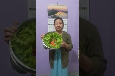 #healthy Salad recipe # Vegetables salad recipe #Lettuce salad @Nirmali life