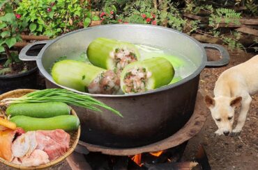 Country woman cooking cooking healthy meals for dinner , Taking care of pet - Country style cooking