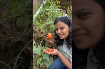 Yard to Table 2023-Dish#75-Cheese Pizza #viral #recipe #food #cooking #ytshorts #healthy #gardening