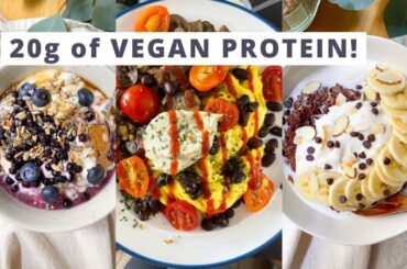 Easy Protein Breakfast Ideas **You'll be shocked at these numbers!**