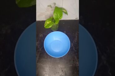 healthy and tasty snack recipe /Peanut katli  /sweet recipe in tamil