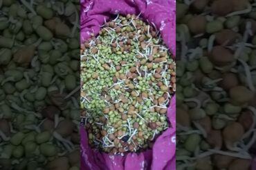 Healthy Breakfast Recipe | Sprouts Salad Recipe | #shorts #cooking #viral