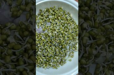 Salad/ sprouts salad/ greengram healthy recipe #shots #viralshots