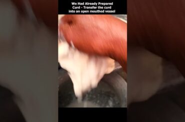 Homemade Organic Yogurt, Butter, Butter Milk from Fresh Cow's Milk | How to make Butter at Home