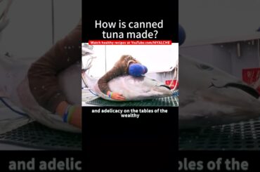 Thoughts? Watch @MYALCHE Healthy Recipes