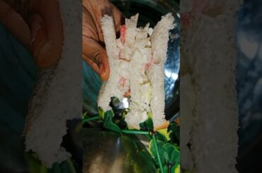 healthy bread sandwich recipe #bread #sandwich #vegsandwich #shorts #ytshorts #viral