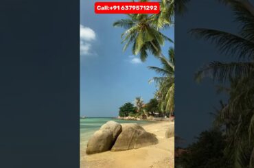 "Unlock Weight Loss Secrets: The Surprising Benefits of Eating Coconut!