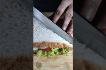 Veg Paneer Sandwich recipe|| Easy And Healthy Breakfast|| Watch till End #asmr #breakfast #healthy