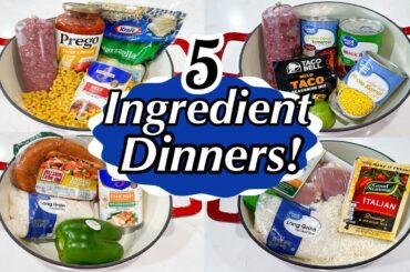 5 TASTY ONE POT MEALS | 5-INGREDIENT RECIPES | DINNERS MADE FAST & EASY!! | JULIA PACHECO