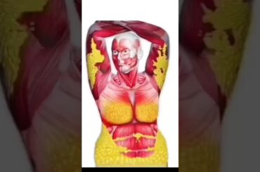 #weightlossdrink #weightloss #trendingshorts #treanding