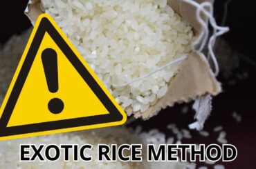 Rice Hack For Weight Loss Recipe Tiktok [[[I REVEALED THE TRUTH]]] RICE HACK WEIGHT LOSS