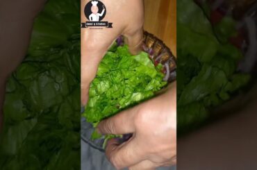 Kachumber  saled|Green Salad | Super healthy and delicious Salad Recipe in Urdu Hindi