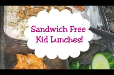 Healthy Kid Lunch Ideas!  No Sandwich Lunches