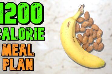 HIGH Protein LOW Carb 1200 Calorie Meal Plan For Weight LOSS