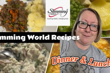 5 Syn Free Slimming World Meals/Recipes for Dinners & Lunches  |Healthy Meal Ideas |with reviews