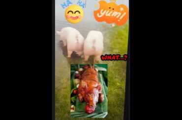 Pork Delights Imagining Healthy Recipes with a Playful Twist"#trending  #youtube #piggy