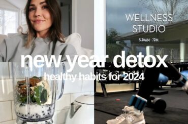 new year detox! what I eat during a cleanse, healthy recipes & my toning workout routine