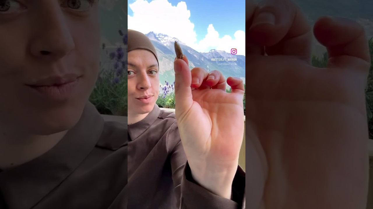 Ne jete plus tes noyaux de dattes !#healthy #food #coffee Ne jete plus tes noyaux de dattes !#healthy #food #coffee