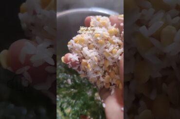 Healthy Lunch Box Recipe|Murungai Keerai Sadam & seppankezhangu Fry#jeevsvlogs #shortvideo