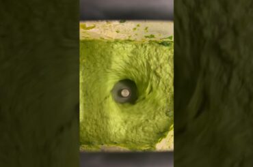 finally sharing my veggie packed pumpkin seed pesto recipe! trust me, you need this! #pesto #healthy